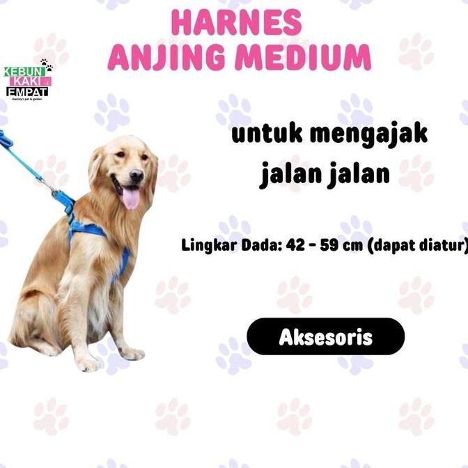 Harness Anjing Medium Polos Lucu Kuat