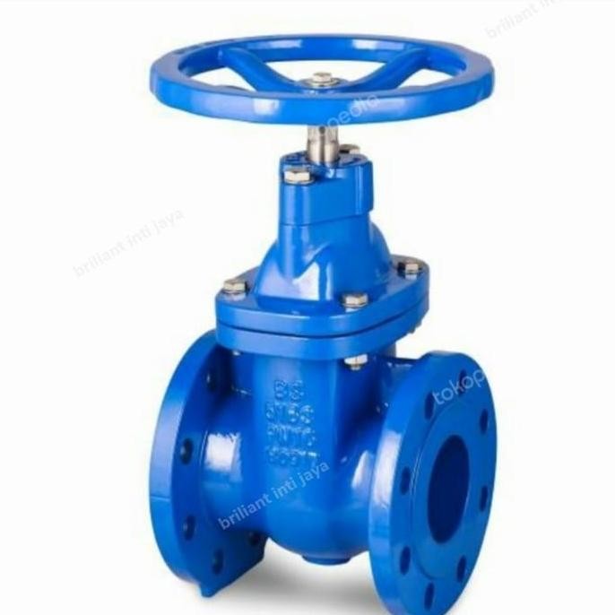 Gate Valve Jis 10K Cast Iron 3" Inch