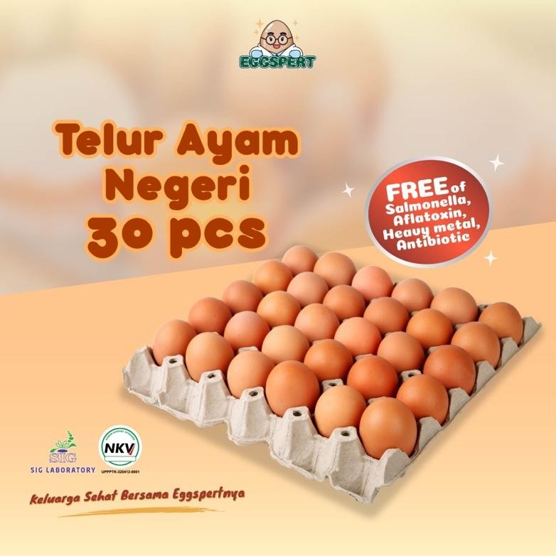 

NO_MORE Eggspert Telur Ayam Negeri Kemasan Isi 30 pcs