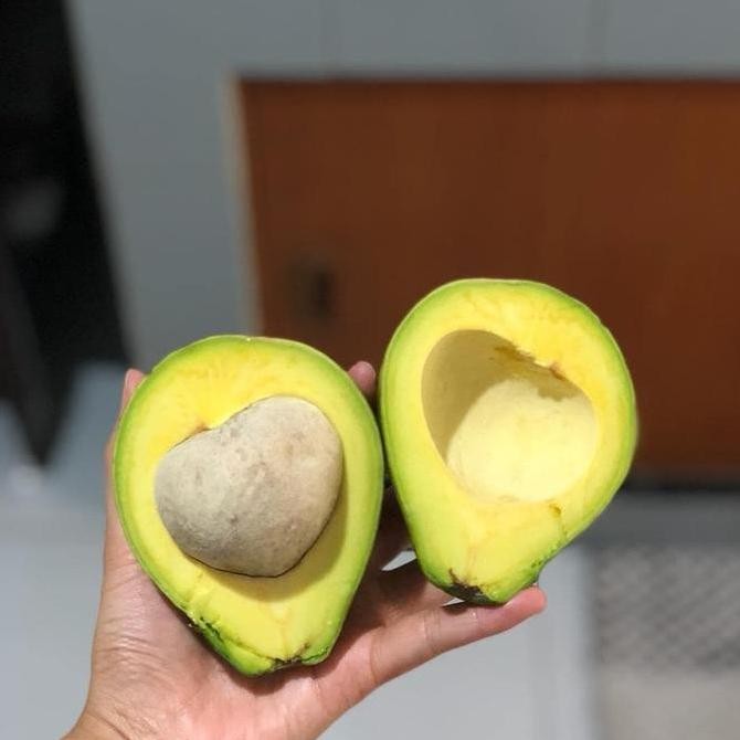 

Tersedia Alpukat Mentega Super Buah Alpukat Matang Siap Konsumsi 1kg