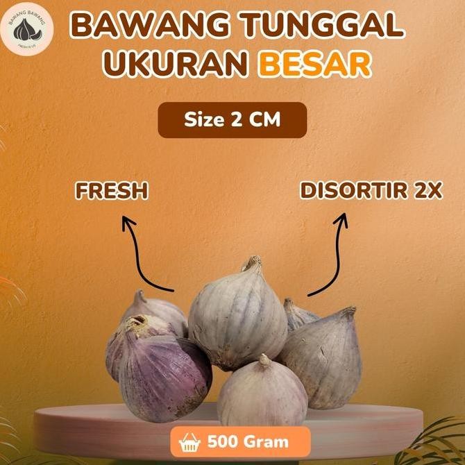 

Diskon! Bawang Putih Tunggal Lanang Jumbo 2cm 500gr Herbal