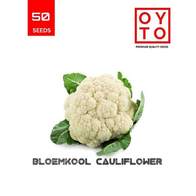 

KEMBANG KOL BIBIT TANAMAN HOPONIK F1 ISTIMEWA