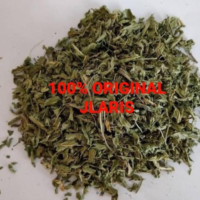

Diskon! Daun Mint Kering 500 Gram - Dried Peppermint Leaf Premium Untuk Teh & Masakan