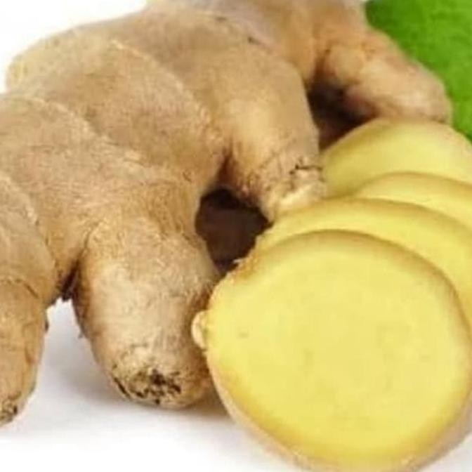 

Diskon! Jahe Putih Segar 1Kg Asli Premium