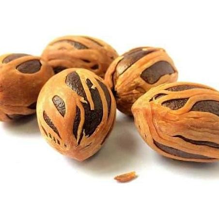 

Diskon! Whole Nutmeg 1Kg - Biji Pala Utuh Jaiphal Premium Grade