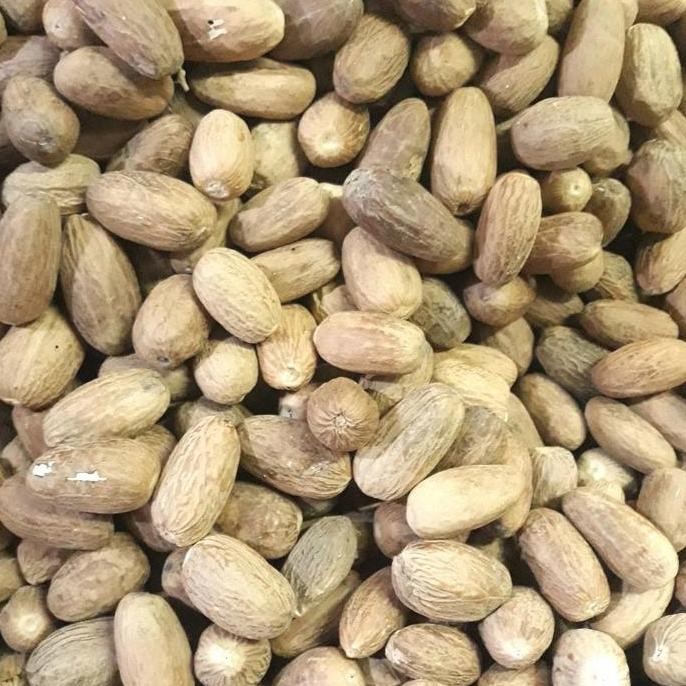 

Diskon! Biji Pala Lonjong Utuh Nutmeg Whole Panjang Rempah Kering Premium