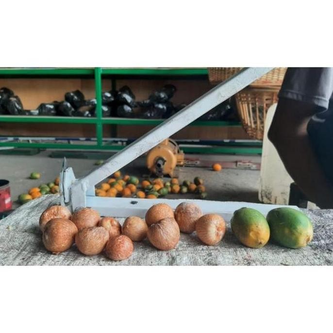 ** Alat Pengupas Kulit Pinang Bulat/Alat Pembuka Kulit Pinang/panen pinang/pertanian/petani pinang *