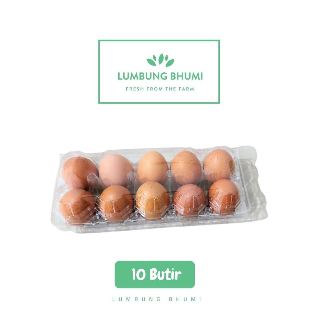 

Lumbung Bhumi - Telur Ayam Negeri 10 Butir ( Bahan Pokok ) aSt