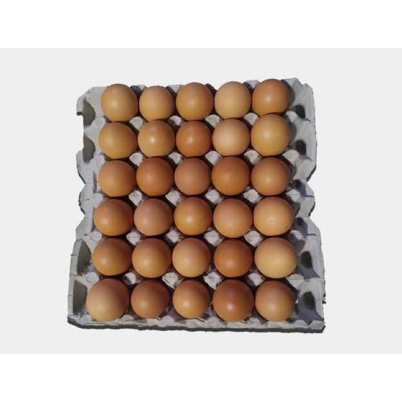 

SayurHD Telur Ayam Negeri 1 KG aSt