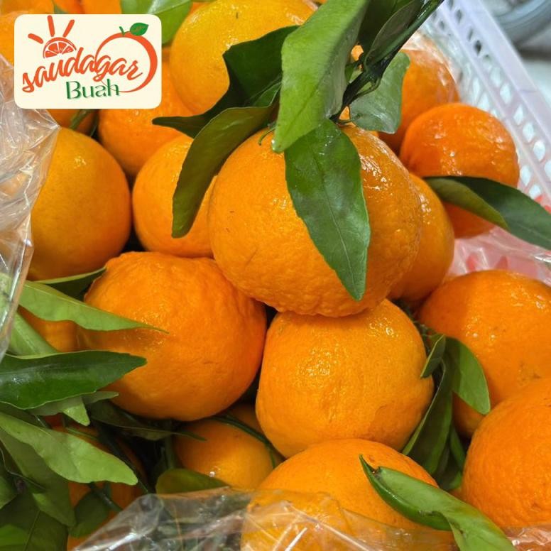 

Buah Jeruk Santang Wokara Santang Wo Chi Manis Seger Juicy 1Kg aSt