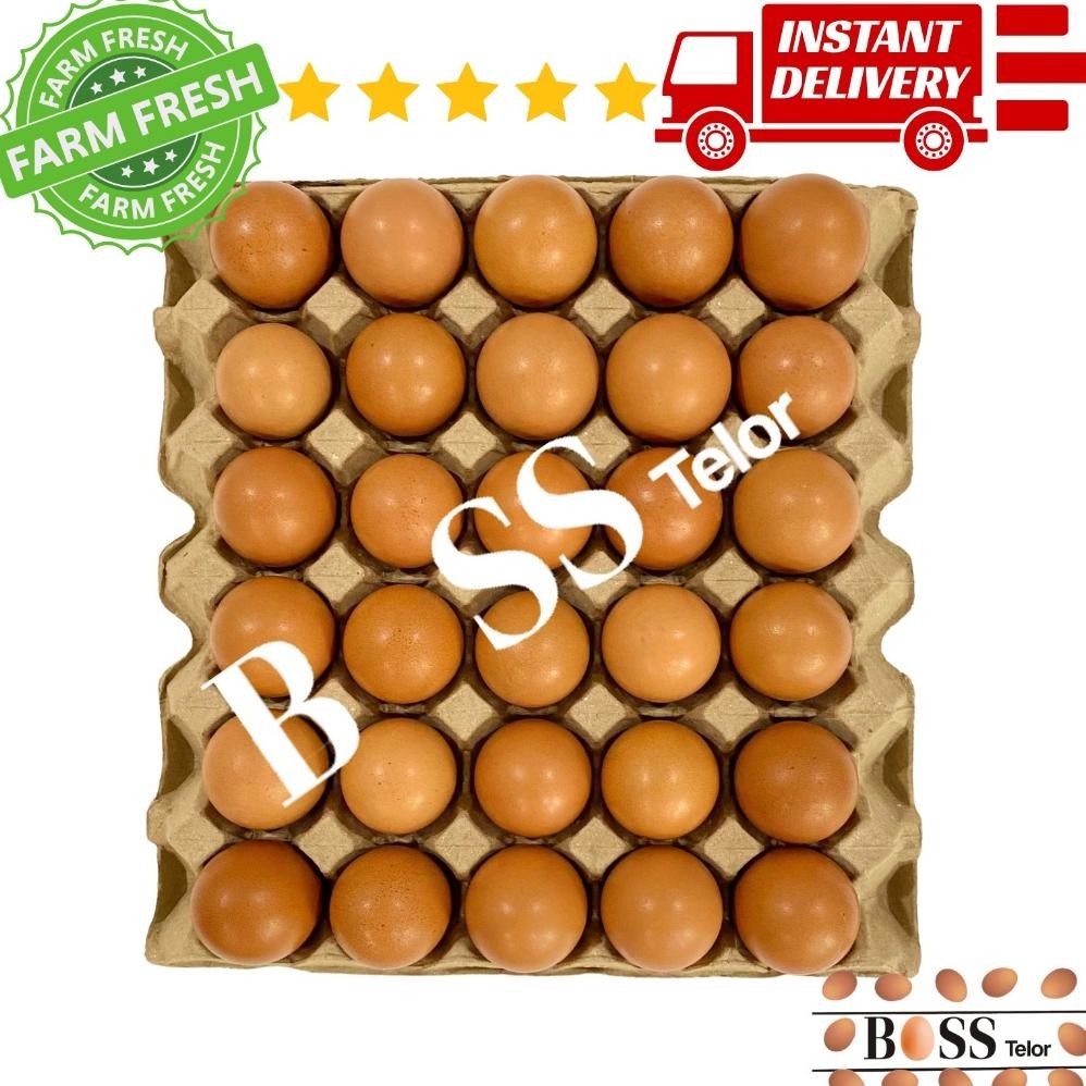 

Telur Ayam Negri 30 Butir Fresh Dari Peternakan aSt