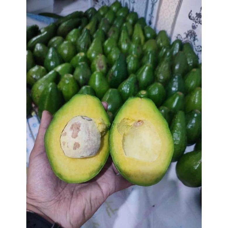 

Buah Alpukat Mentega 1kg Bergaransi - Alpukat Kuning - Alpukat Mentega Legit - Aadhya Official Store aSt