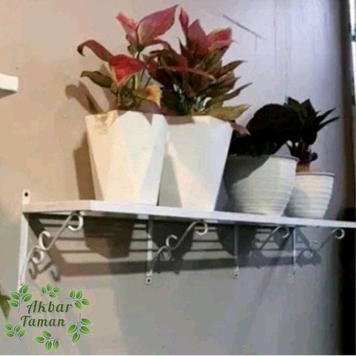 Rak Bunga Besi Tempel Dinding / Rak Besi Pot Tanaman Tempel Dinding Original Dan Terpercaya