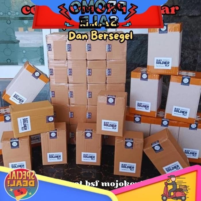 

Smile Today Telur Bsf 10 Gram