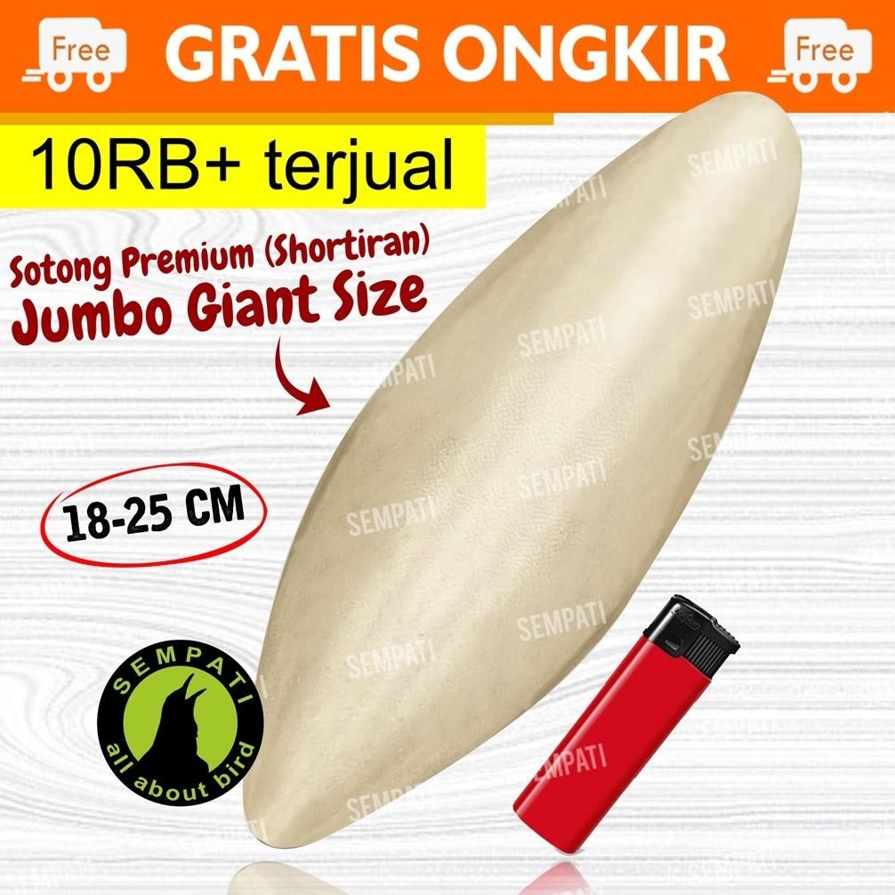 SEMPATI SOTONG UKURAN JUMBO CANGKANG TULANG CUMI KALSIUM IODIUM GARAM MINERAL DLL UNTUK BURUNG LOVEB