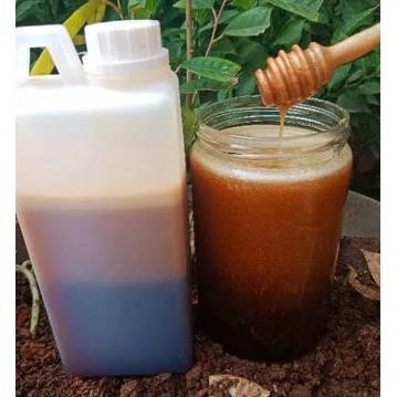 

(Terbaru) Madu Asli (madu hutan sialang riau netto 1kg) 100% Madu murni madu murah | madu jakarta madu annisa (Terlaris)