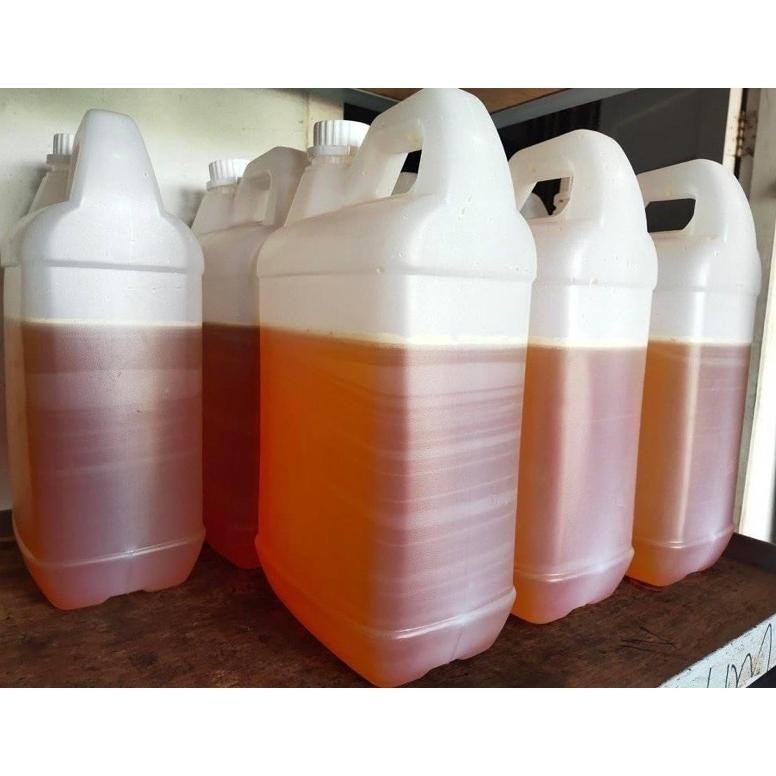 

(Terbaru) Madu muliflora 5 kg (Terlaris)