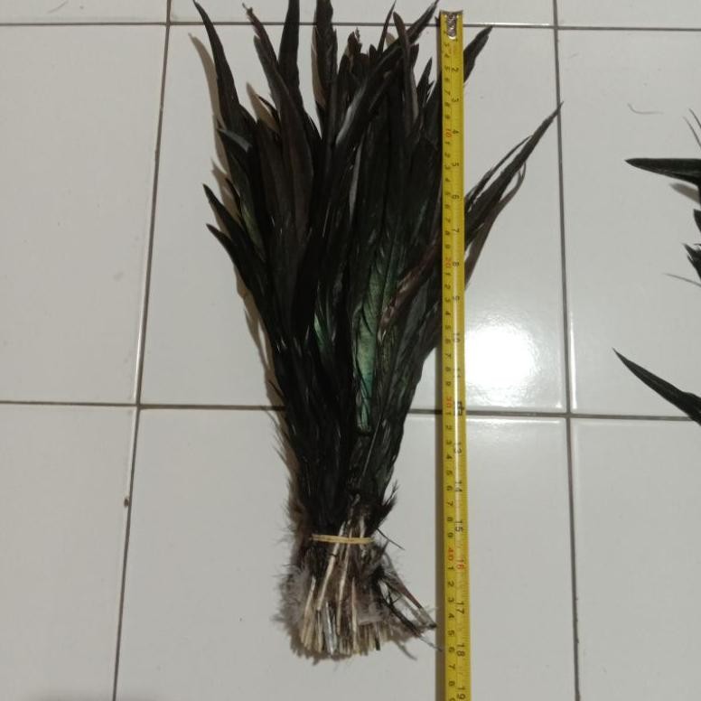 We-53 Bulu Lancur | Bulu Karnaval | Bulu Ekor Ayam Jago We-53