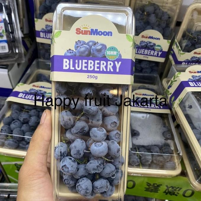 

Promo Blueberry sunmoon super fresh | Buah blueberry jumbo 250 grm