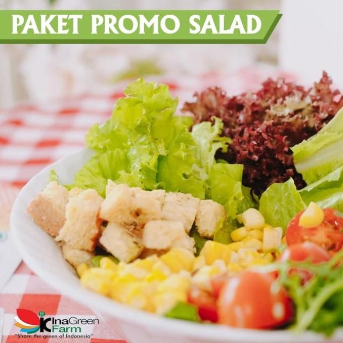

Tersedia Paket Salad Inagreen Kewpie Mayonnaise Saus Salad Premium