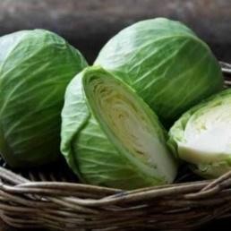 

Benih Bibit Sayur Kol Kubis Hijau Bisa Ditanam Di Pot Isi 50 Biji