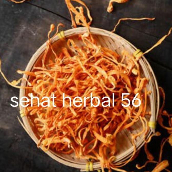 

Jamur Chong Cao Hua ( Jamur Cordyceps Flower 500Gram /) Kualitas Terbaik Harga Termurah