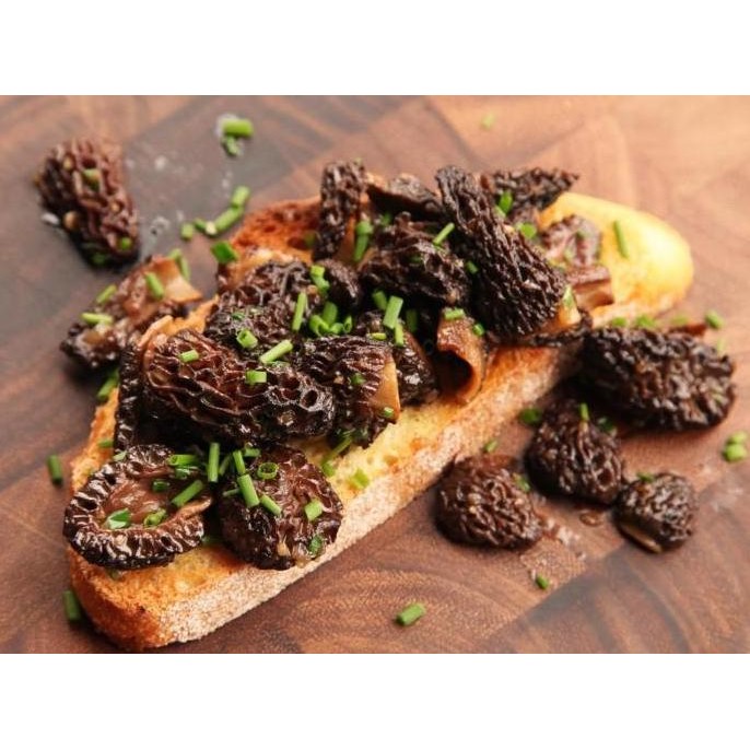 

Dried France Morels Mushroom Cepes Jamur Perancis Kering Morel 25Gr Kualitas Terbaik Harga Termurah