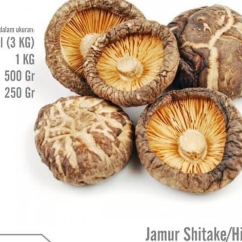 

Hioko/Hiuko/Jamur Shitake Mushroom 1 Kg Kualitas Terbaik Harga Termurah