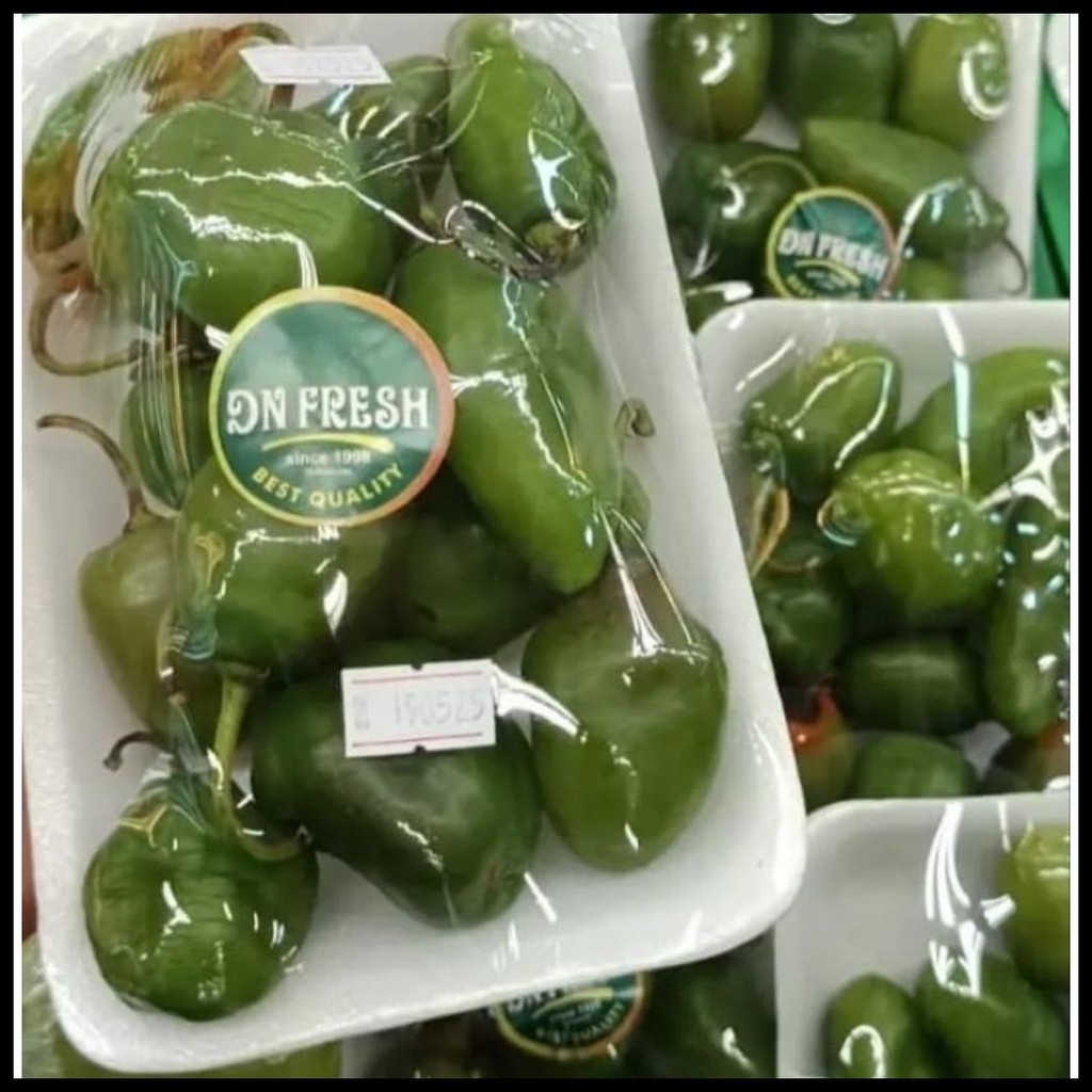 

CABE GENDOT SUPER 500 GRAM FRESH STOCK