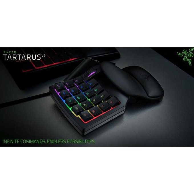 (Expert) Razer Tartarus V2 - Gaming Keypad