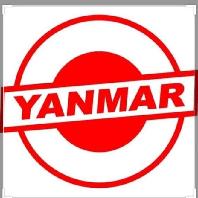 Alternator 4Tnv88/Dinamo Cas 4Tnv88