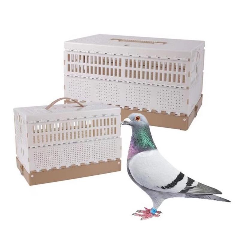 SANGKAR DONDANG KISO LIPAT GABUR MERPATI POS BALAP PMTI MURAH