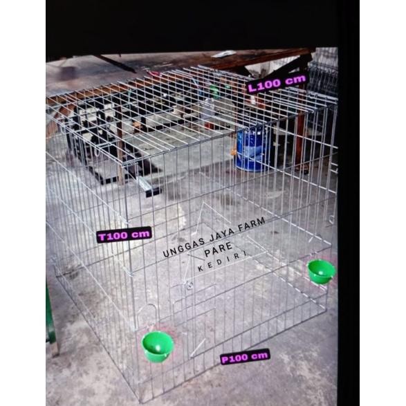 kurungan ayam jago bangkok taji philipin jemur semi lipat MURAH