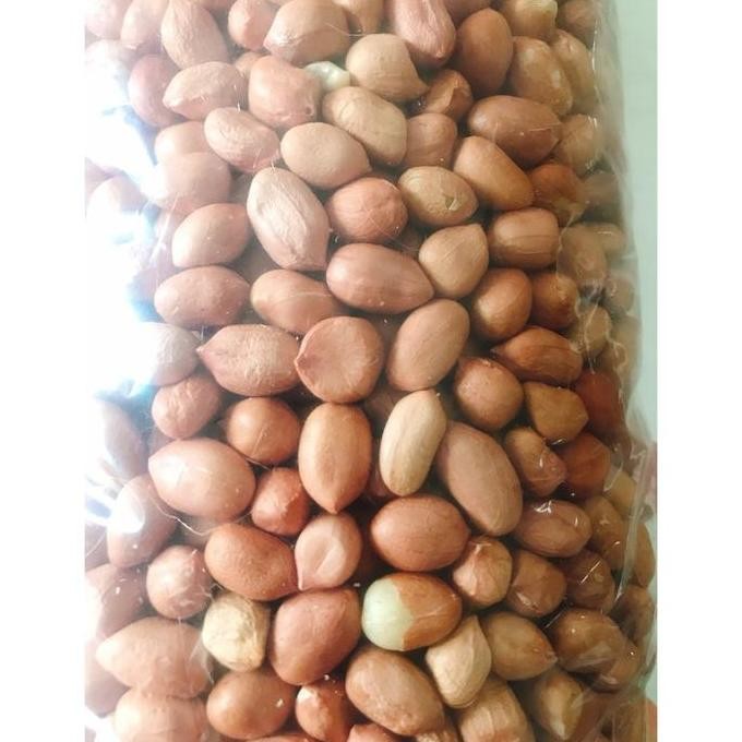 

RPS Kacang Tanah Mentah Super 1 Kg, Kacang Tanah Jumbo Random, Kacang Suuk