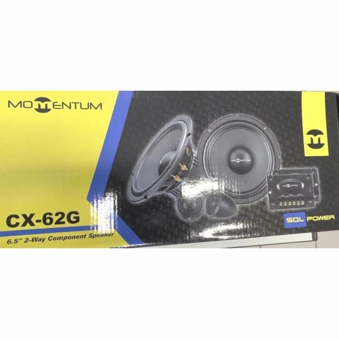 Speaker Momentum CX-62G Split 2 way component