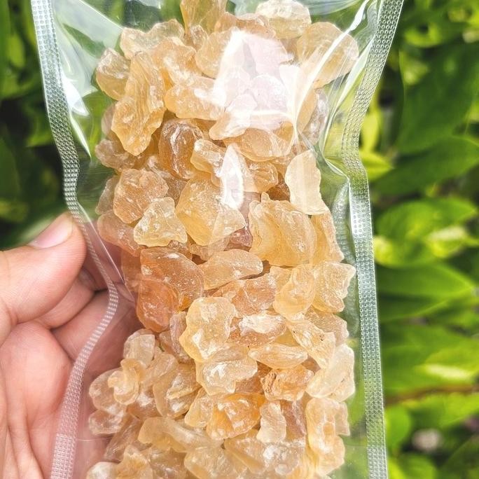 

Snow Bird Nest 100gr / 500gr - XueYan - GumTragacanth