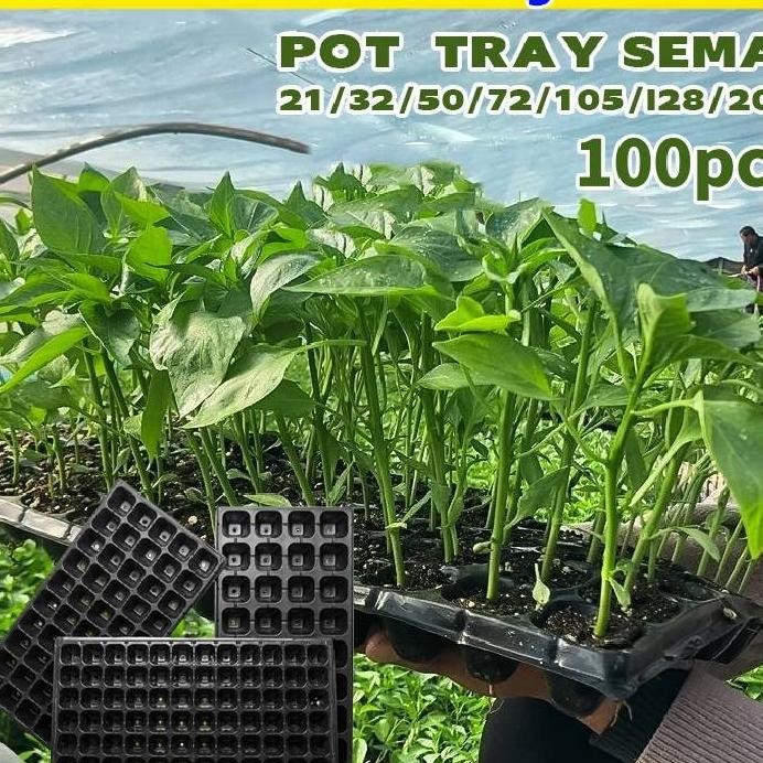 100Pcs Pot Bibit Tray Semai Seedling Pot Pot Tray Semai Bibit Benih 21325072105128200 Lubang Wadah S