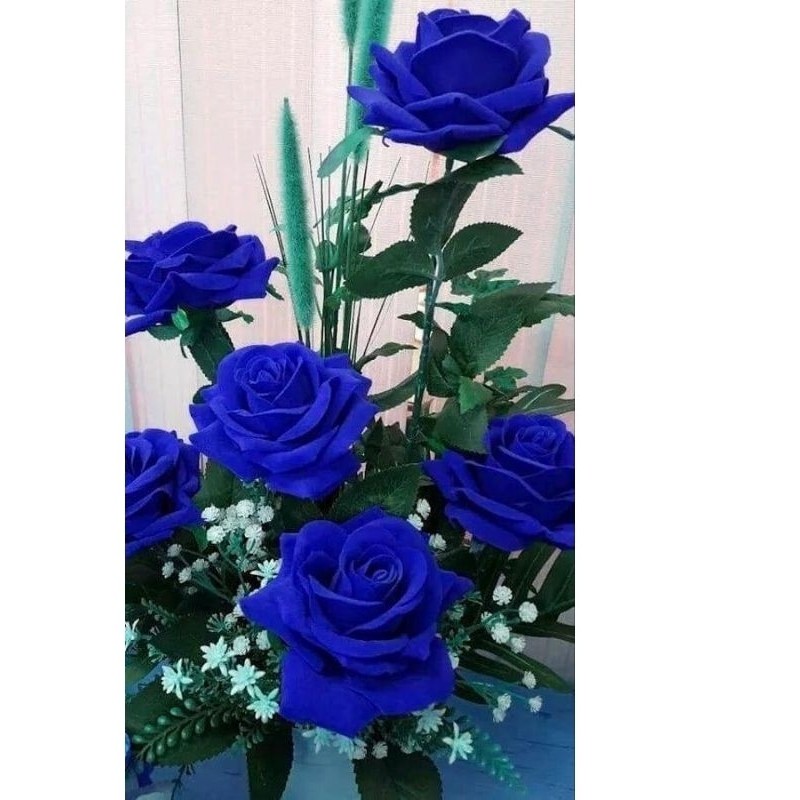 Promoo tanaman hias bunga mawar bunga biru - tanaman hias bunga mawar - bunga mawar