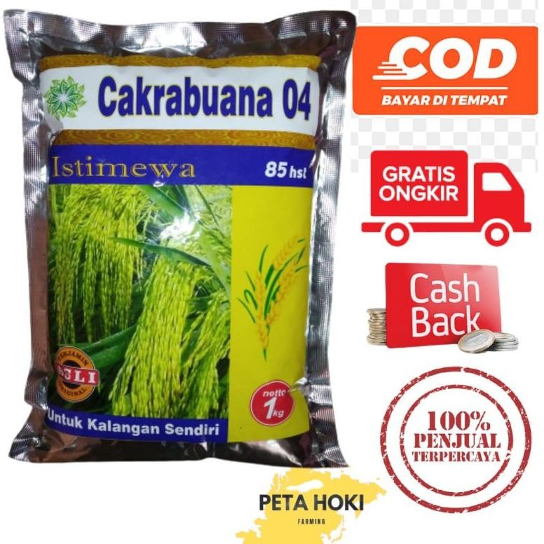 benih padi cakrabuana 04