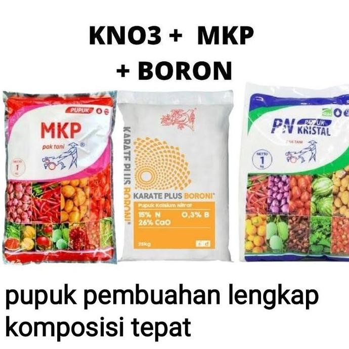 Paket Pupuk Pembuahan anggur dan tanaman lain mkp / kno3 / boron