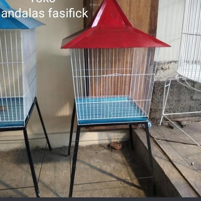 TERMURAH - kandang jalak. Beo ayam kate. serama dan lain lain