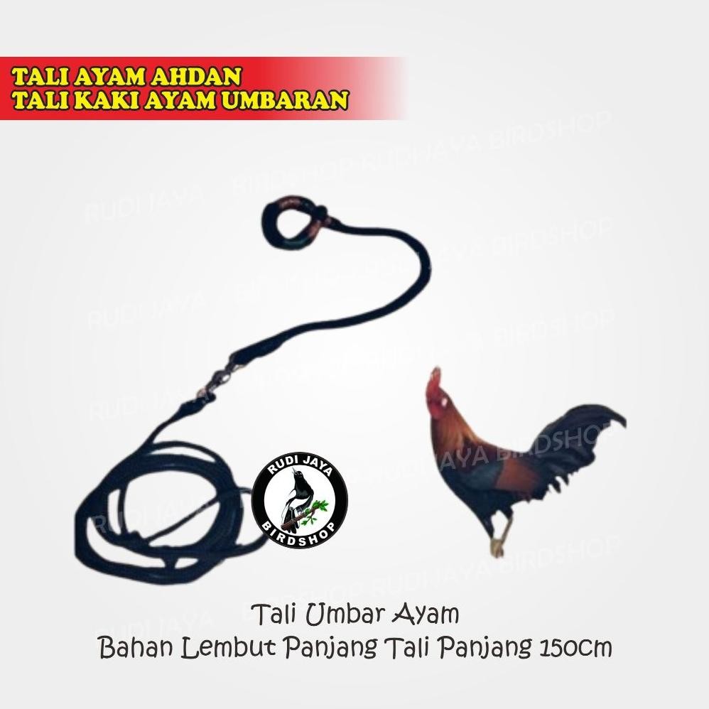 Paling Laris Se-7 Tali Ayam Ahdan Tali Kaki Ayam Umbaran Murah Tali Jemur Ayam Ayam Jantan Aduan Pan