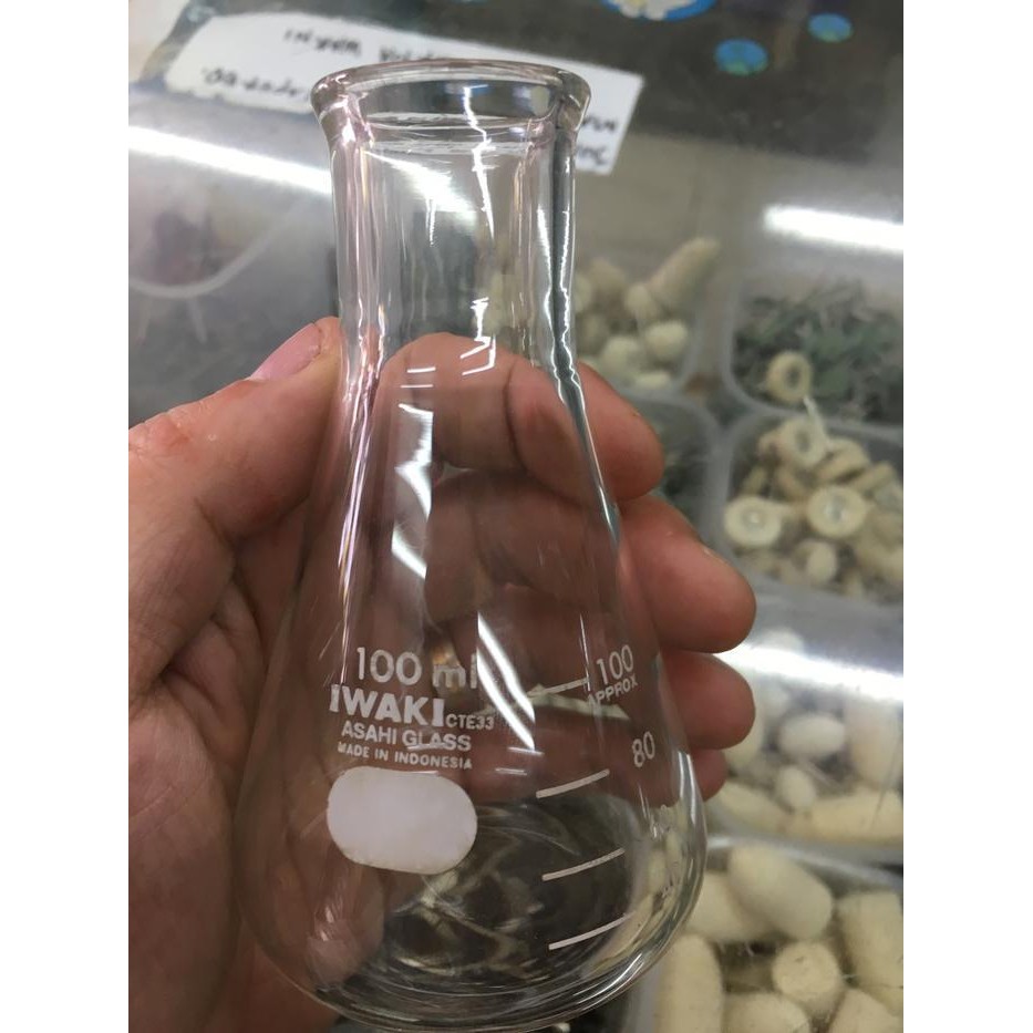 (Promo) Gelas Ukur Erlenmeyer Pyrex 100Ml Bestseller