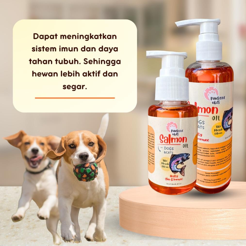 Cuci Gudang Minyak Salmon Murni 100% - Minyak Salmon Kucing Anjing - Salmon Oil Vitamin - Minyak Ika