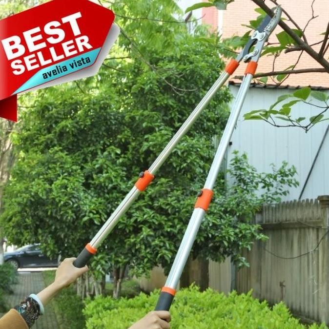 TERLARIS - Pohon Dahan Ranting Tinggi - Ranting Gagang Panjang