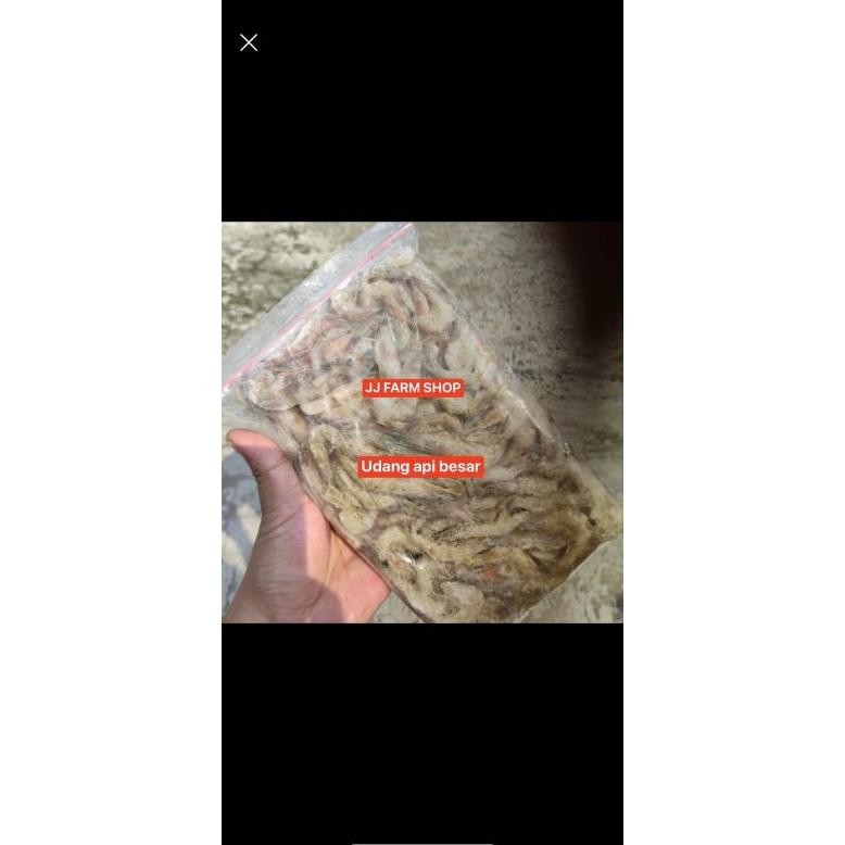 [Kecil Udang Besar / Udang Beku Besar 500 Gram Food Grade / Makanan Pakan Ikan Predator Channa Arwan