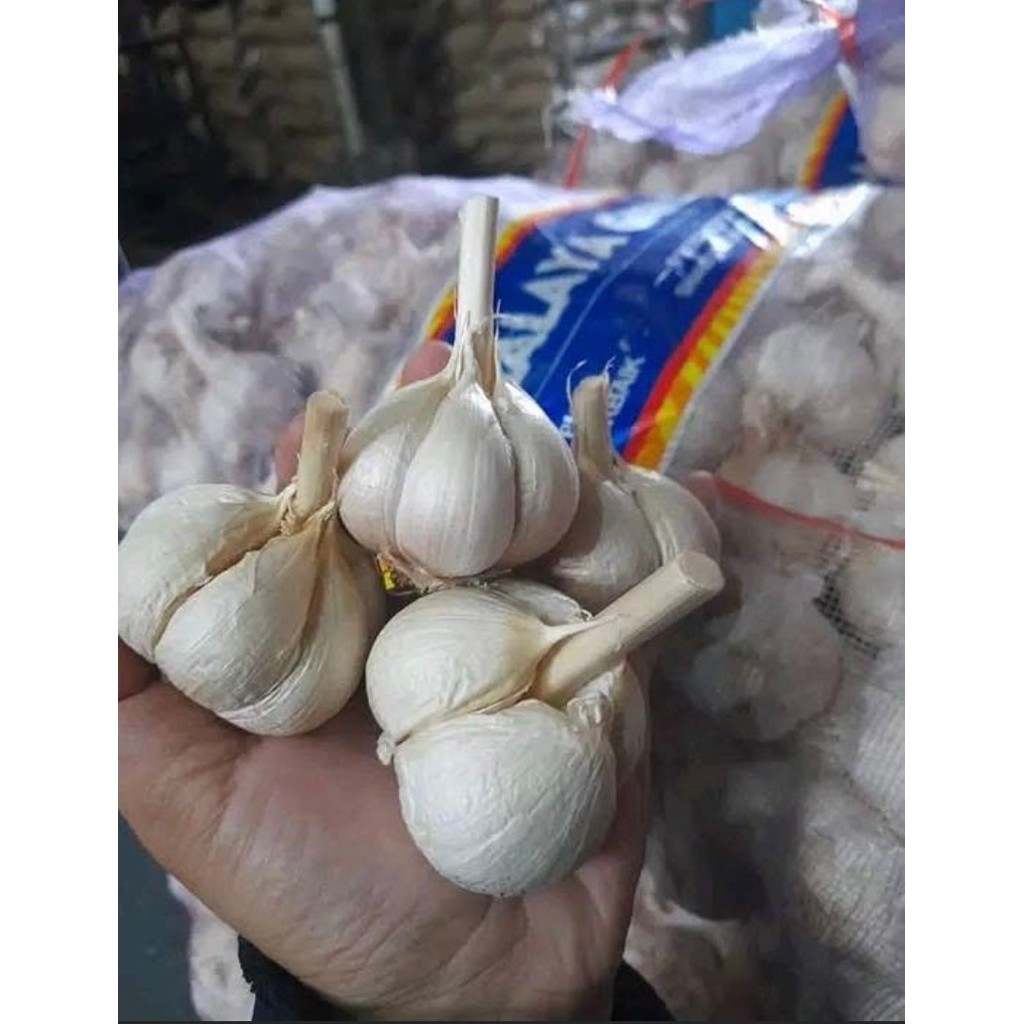 

BAWANG PUTIH PILIHAN SUPER PER KG