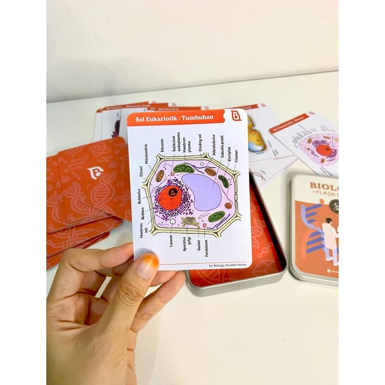 

Promo Biology Flashcards Premium Edition By Biology Student Notes Berkualitas