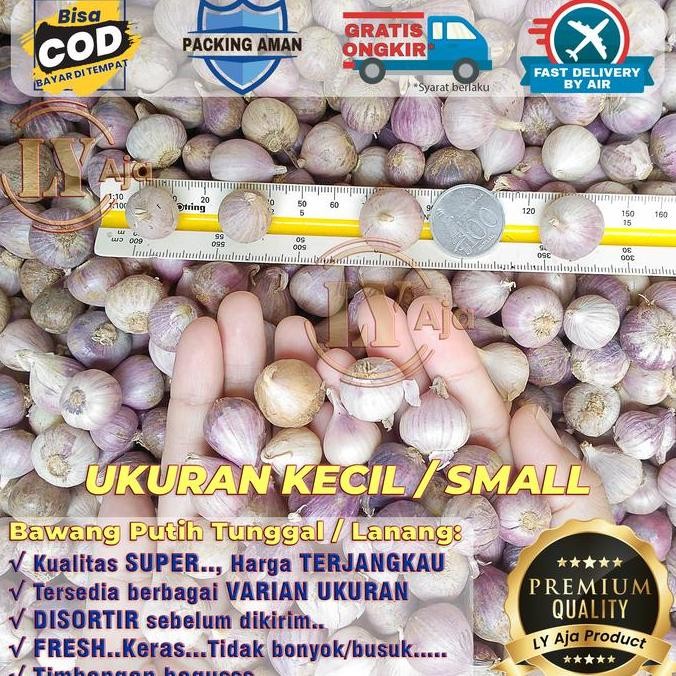 

JH8 Bawang Putih Tunggal Lanang 250 Gram Kualitas Super LY Aja