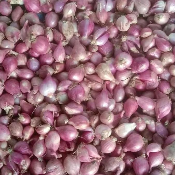 

JH8 Bawang Merah Garut Ukuran Sedang Tanggung 1 kg Bubuk Bahan Spices Masakan Rempah Pedas Kualitas Terbaik Powder Garam Cabai Asin